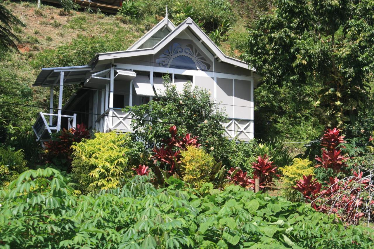 Gingerbread Cottage And Studio Fiji Savusavu Extérieur photo