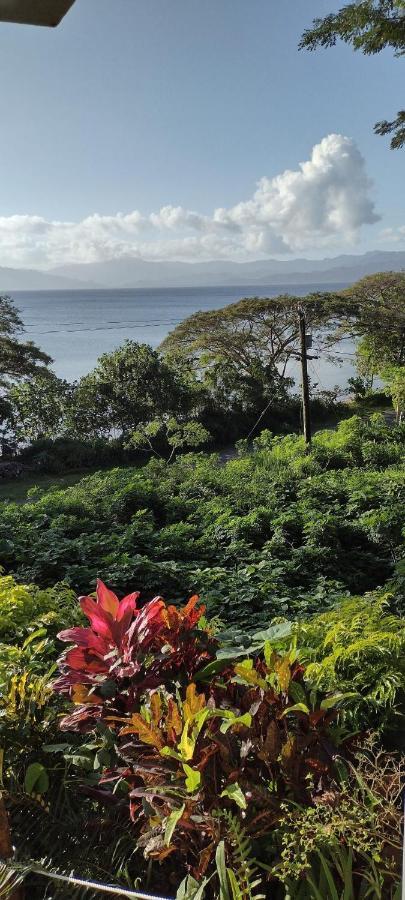 Gingerbread Cottage And Studio Fiji Savusavu Extérieur photo