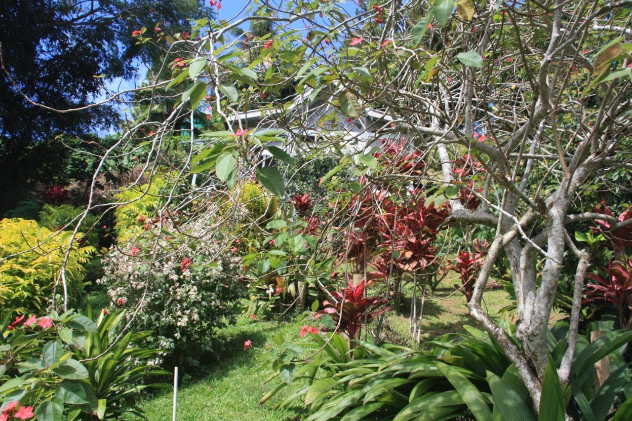 Gingerbread Cottage And Studio Fiji Savusavu Extérieur photo